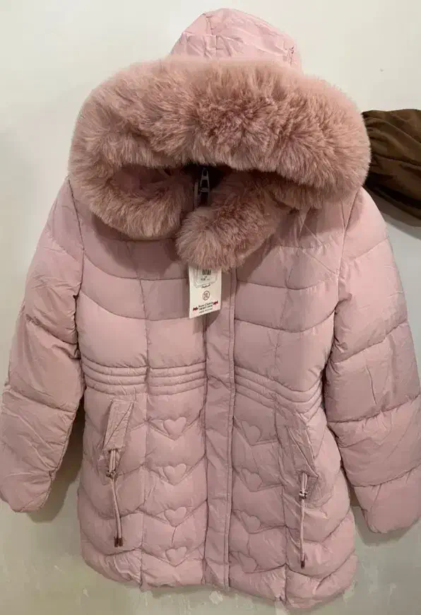 لباس|لباس|دورود, |دیوار