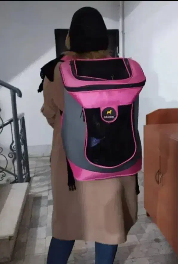 برای حمل حیوون قشنگ خونگیتون|لوازم جانبی حیوانات|رشت, نیکمرام|دیوار