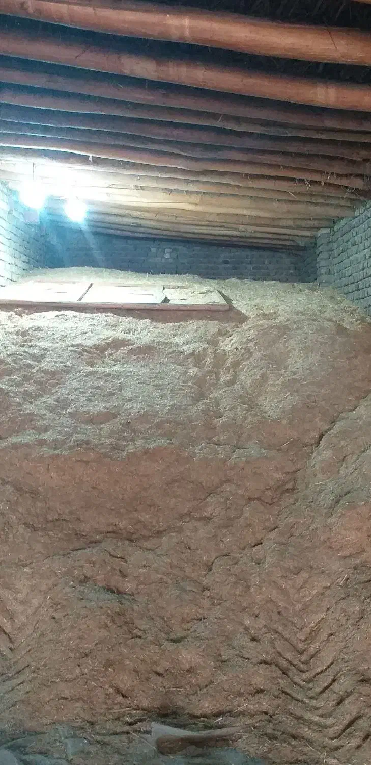 کاه جو|حیوانات مزرعه|بروجرد, |دیوار