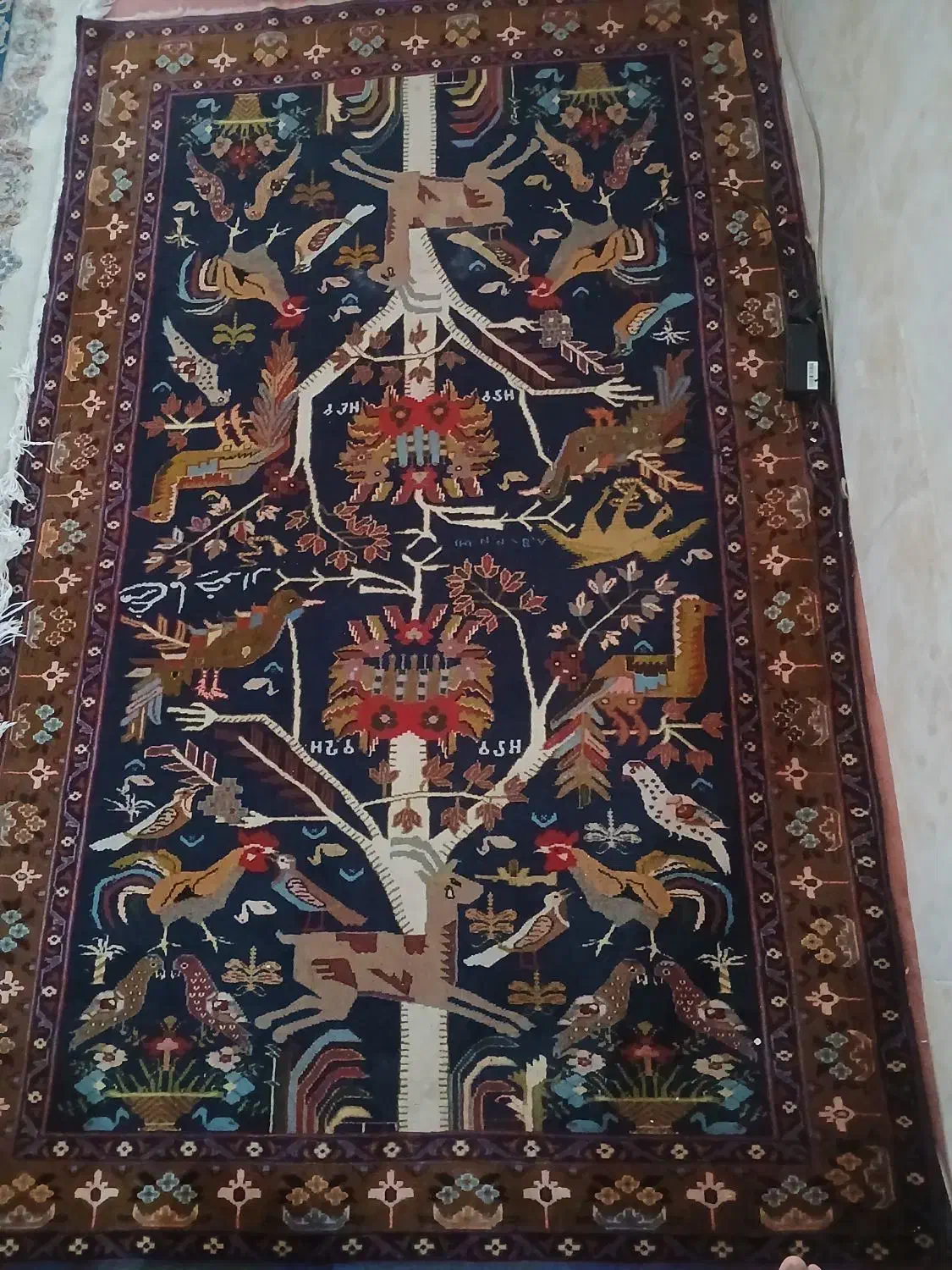 قالیشویی ومبلشویی مهرآوران|خدمات نظافت|حمیدیا, |دیوار