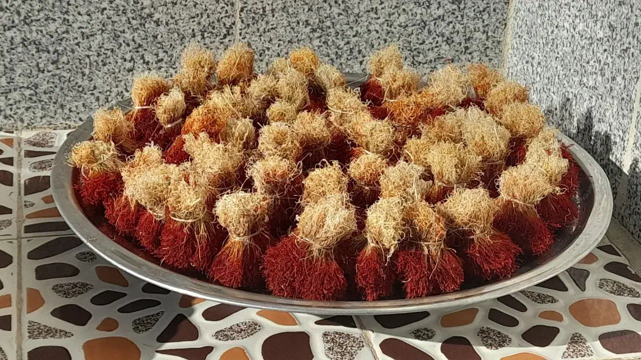 زعفران دخترپیچ|خوردنی و آشامیدنی|تهران, دربند|دیوار