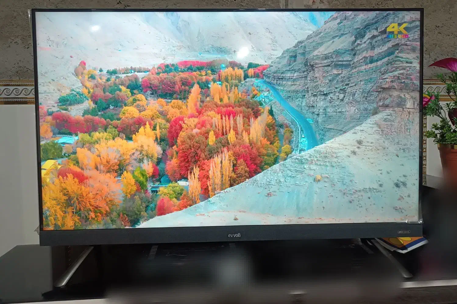 تلویزیون ایوولی ۵۰ اینچ|تلویزیون و پروژکتور|زابل, |دیوار