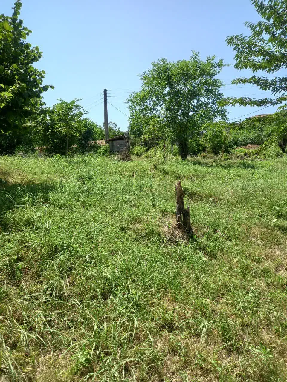 زمین فروشی|فروش زمین و ملک کلنگی|دالخانی, |دیوار