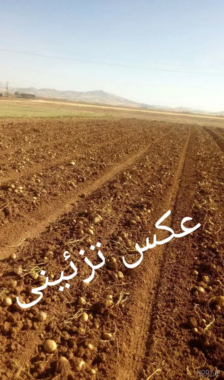 اجاره زمین کشاورزی آبی 25 هکتار، قیمت توافقی|اجارهٔ دفتر صنعتی، کشاورزی، تجاری|شیرینسو, |دیوار