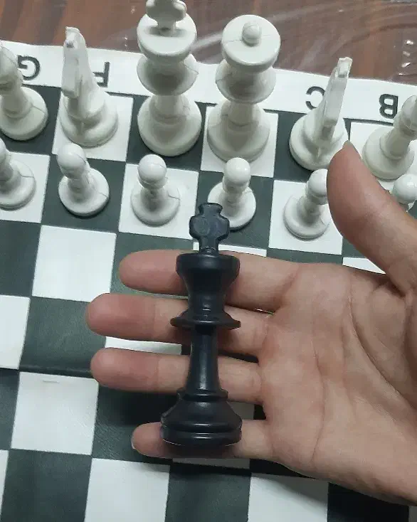 شطرنج فدراسیونی|اسباب‌‌بازی|نیشابور, شهید بهشتی|دیوار