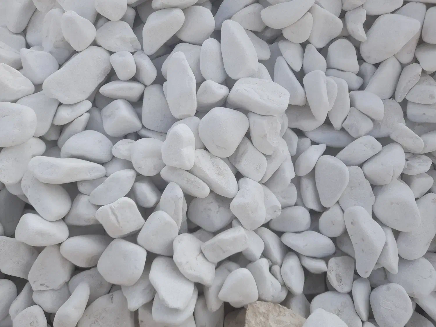 فروش انواع قلوه سنگ رودخانه ای وقلوه سفید|عمده‌فروشی|کرج, محمد آباد|دیوار