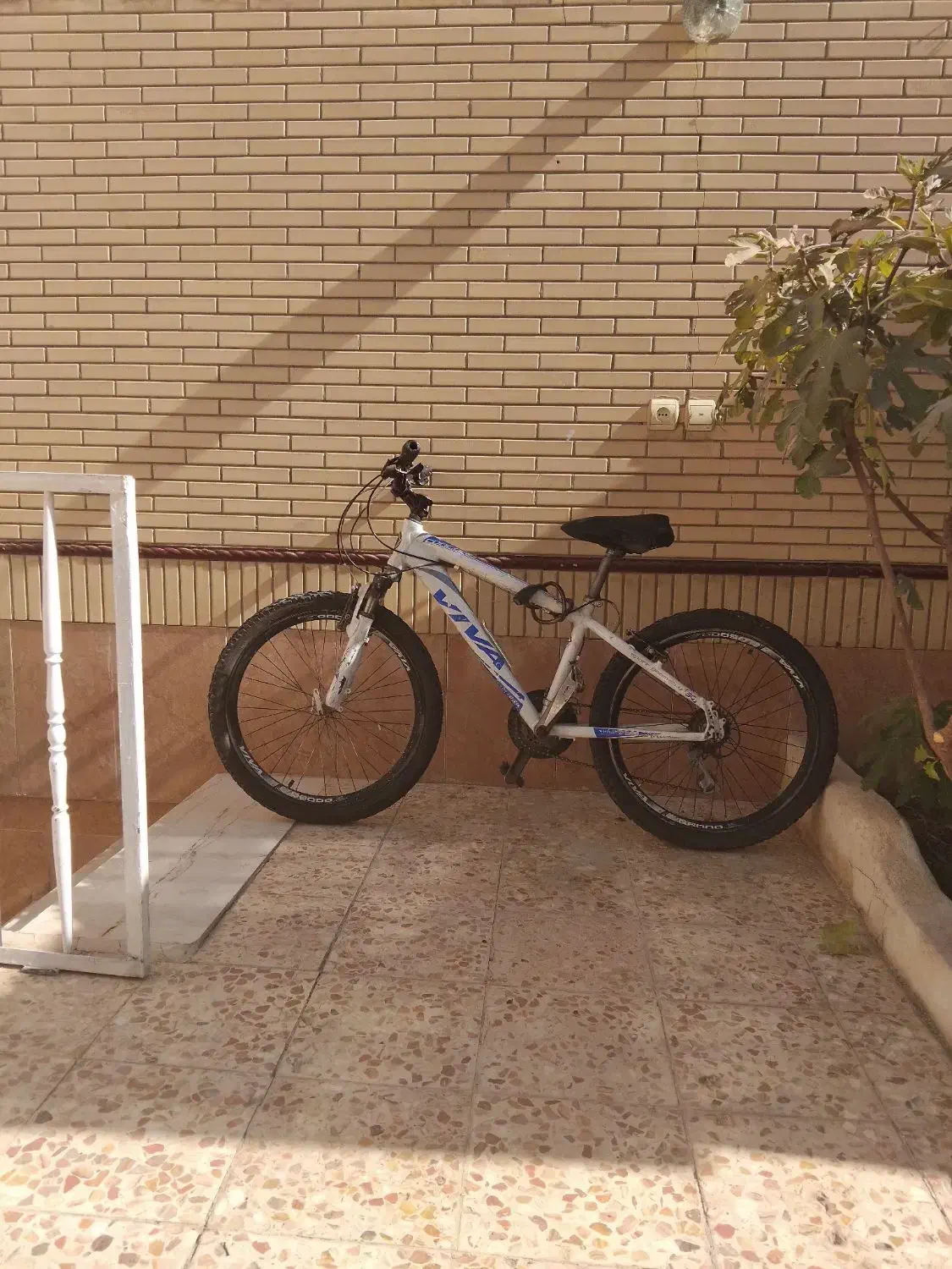 دوچرخه ویوا درجه ۱ سایز ۲۴|دوچرخه، اسکیت، اسکوتر|نجف‌آباد, ویلاشهر|دیوار