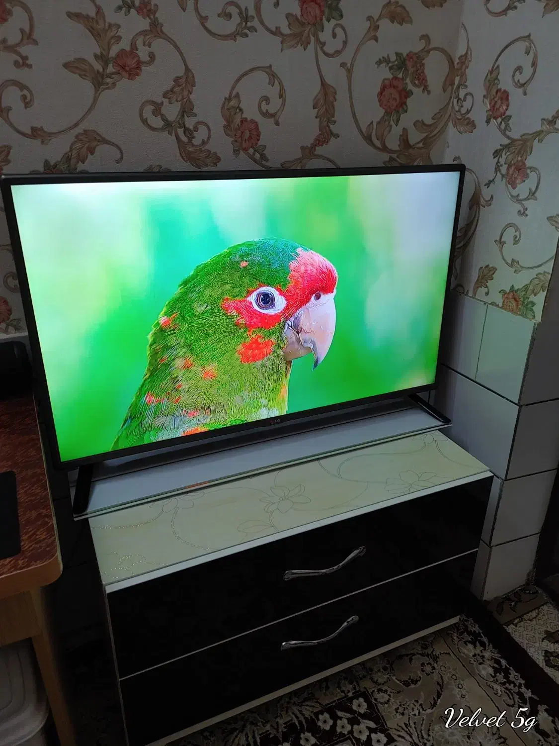 LED LG تلویزیون الجی 42 کنترل دیجیتال کاشمر|تلویزیون و پروژکتور|کاشمر, |دیوار