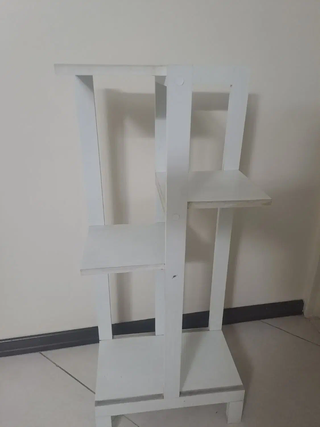 پایه گل|گل و گیاه طبیعی|ری, دولتآباد|دیوار