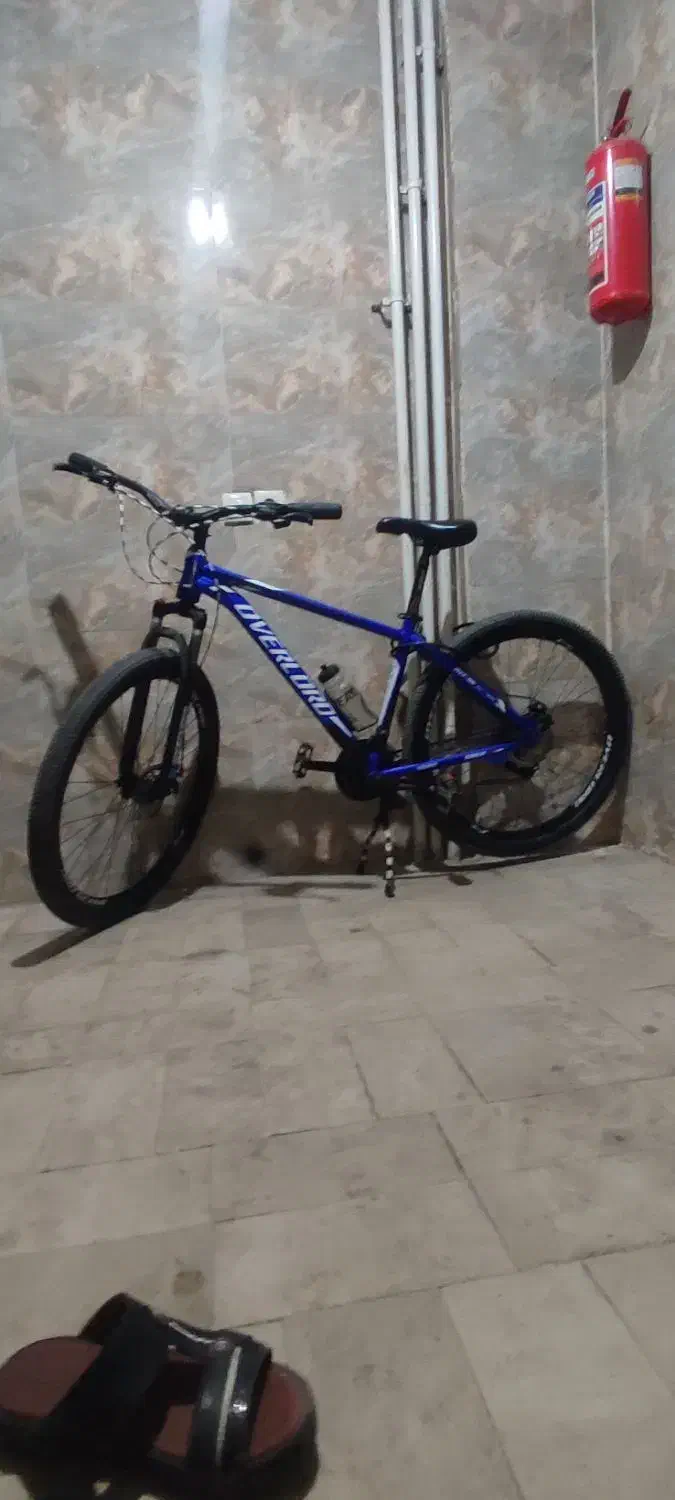 دوچرخه اورلود|دوچرخه، اسکیت، اسکوتر|اهواز, کوی طالقانی|دیوار