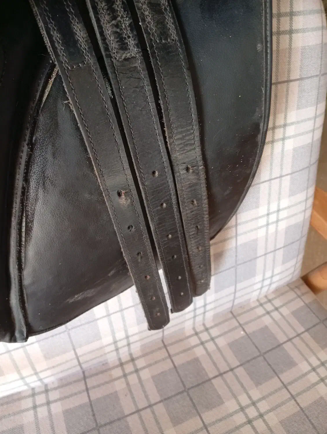 زین اسب|اسب و تجهیزات اسبسواری|کرمان, |دیوار