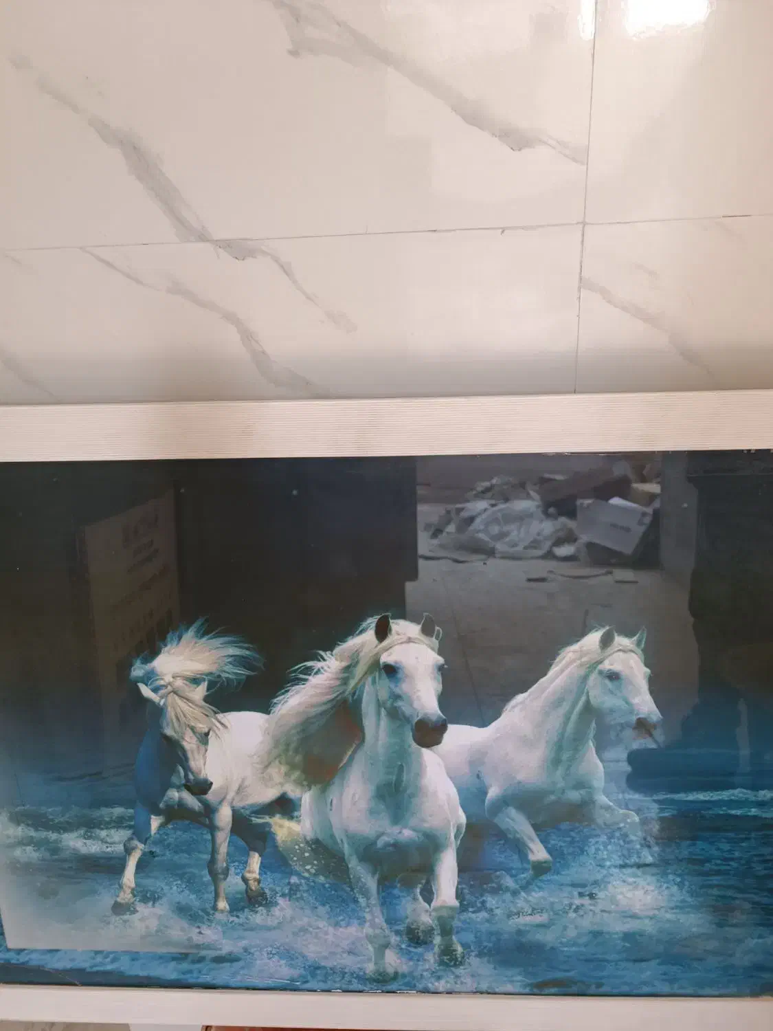 تابلو زیبای اسب با نور پشت زمینه|تابلو، نقاشی، عکس|بندرعباس, |دیوار