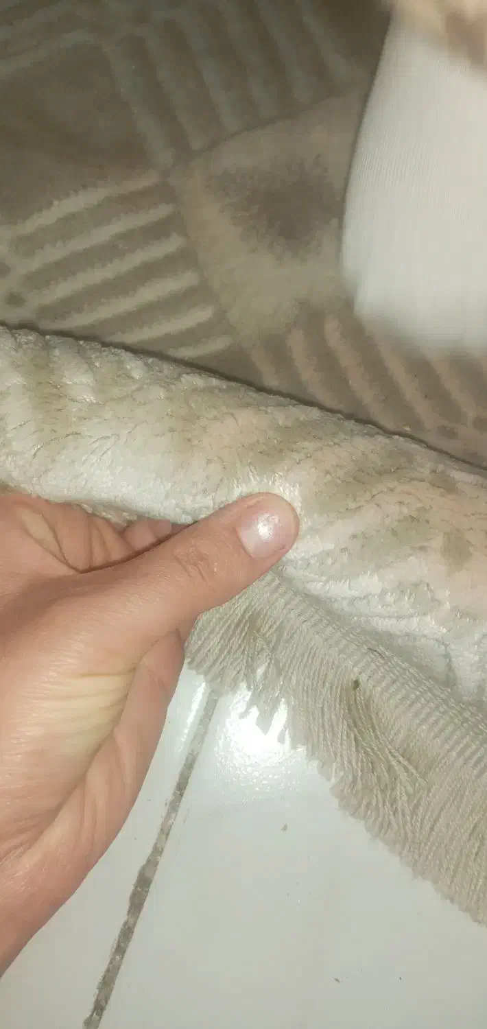 فرش آشپز خانه|فرش|ملارد, |دیوار