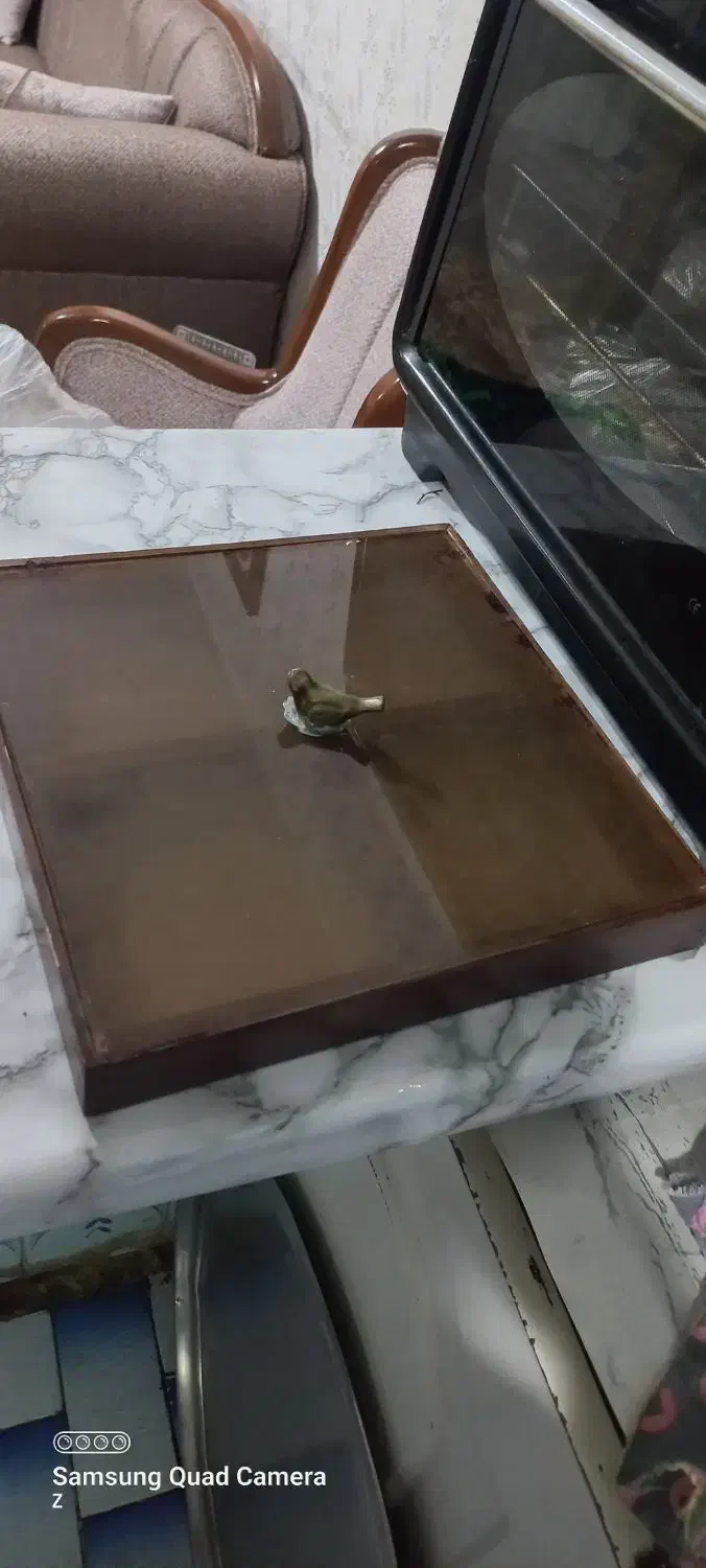 بشقاب چینی .فلاکس کودک و سرقندان و اردو خوری|ظروف سرو و پذیرایی|مشهد, رسالت|دیوار