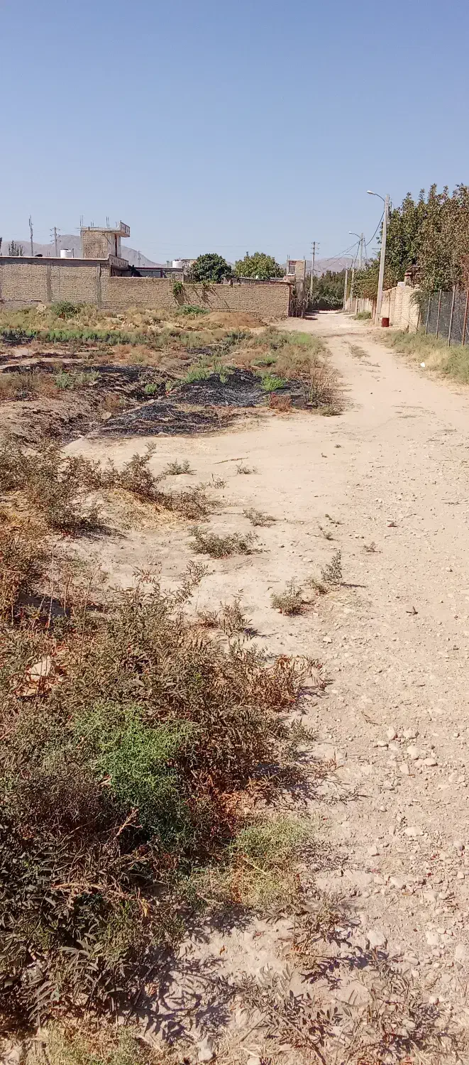 زمین باغ شهری|فروش زمین و ملک کلنگی|کوار, |دیوار