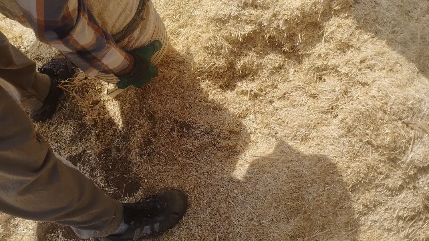 خوراک دام کاه|لوازم جانبی حیوانات|ابهر, |دیوار