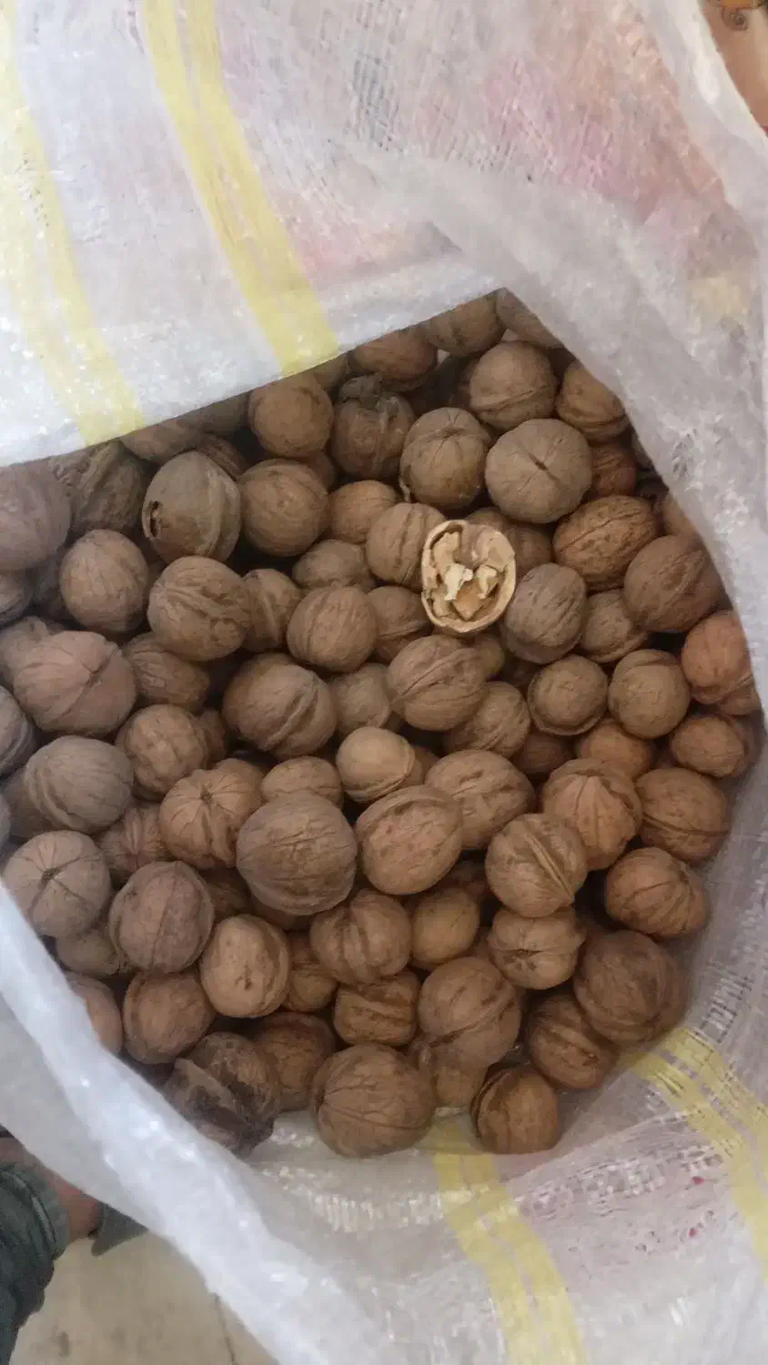 گردو و عناب|خوردنی و آشامیدنی|رباط‌کریم, رباط‌کریم|دیوار