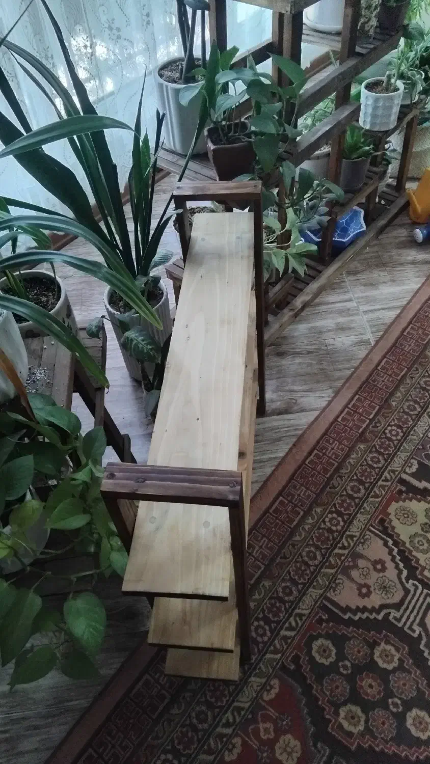 شلف چوبی|کتابخانه، شلف، قفسههای دیواری|نیشابور, شهرک ولیعصر|دیوار