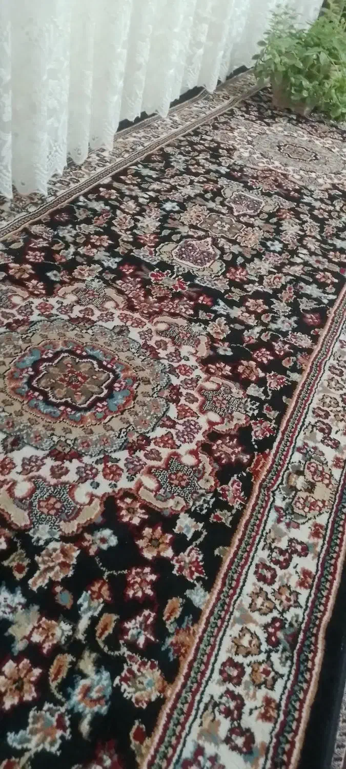 کناره نو|فرش|تربت‌حیدریه, پائین ولایت|دیوار