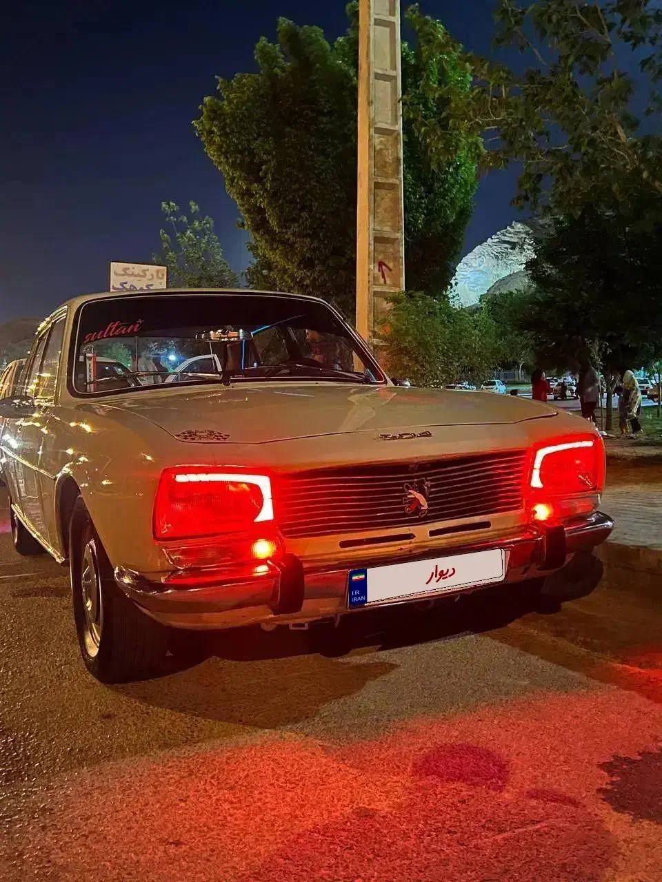 پژو ۵۰۴ استسنائی|خودرو کلاسیک|یزد, |دیوار