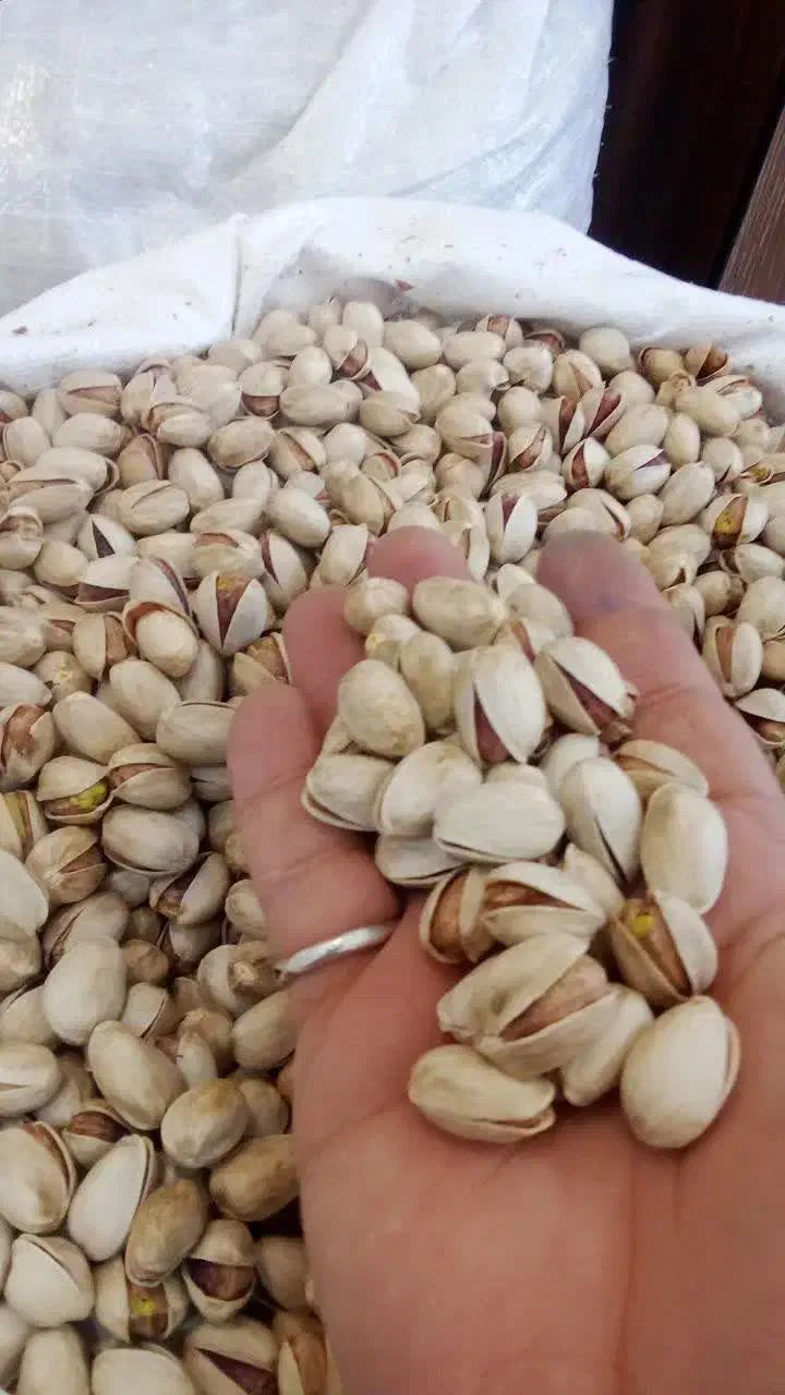 خشک دامغان|خوردنی و آشامیدنی|تهران, بهداشت|دیوار