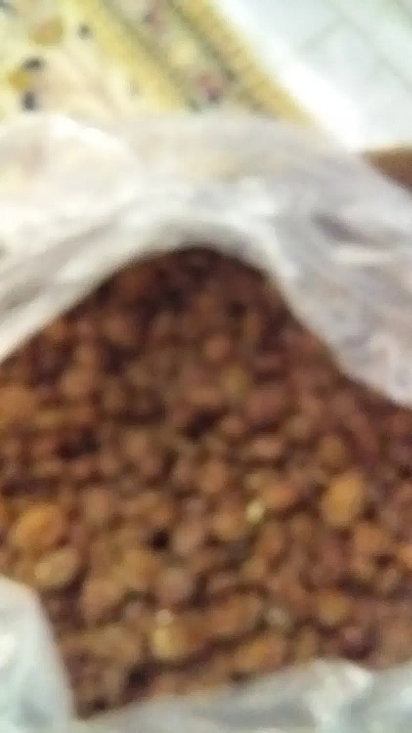 الوخورشتی|خوردنی و آشامیدنی|اصفهان, قلعه طبره|دیوار