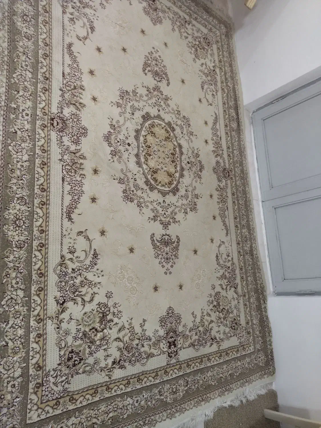 قالی6متری دوتخته4تومن|فرش|چالوس, |دیوار