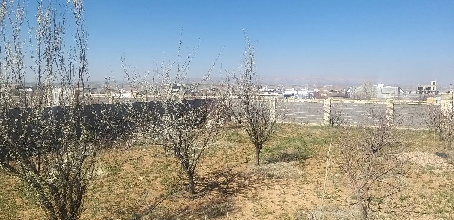 تصویر 3
