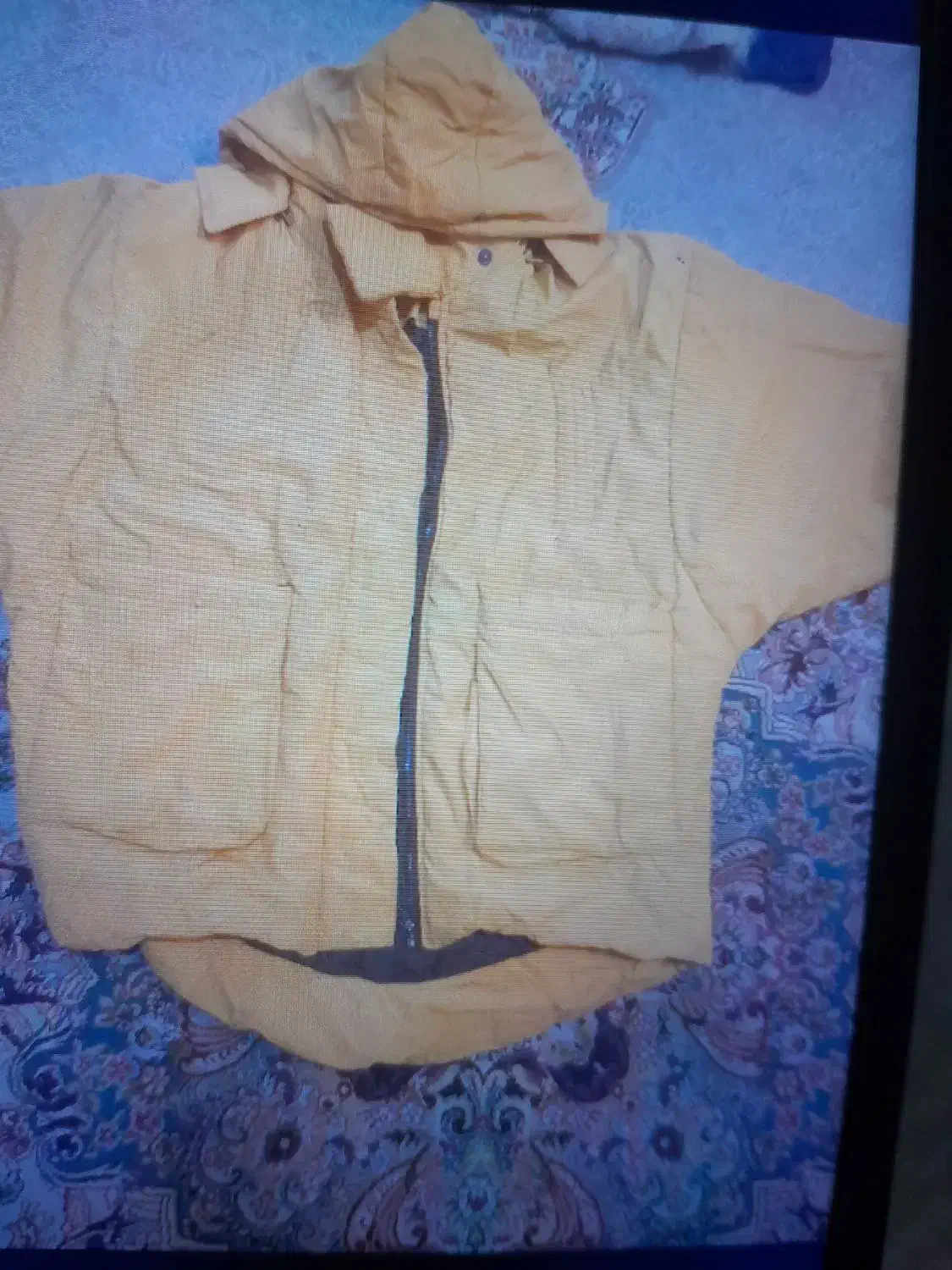 کاپشن|لباس|باقرشهر, |دیوار