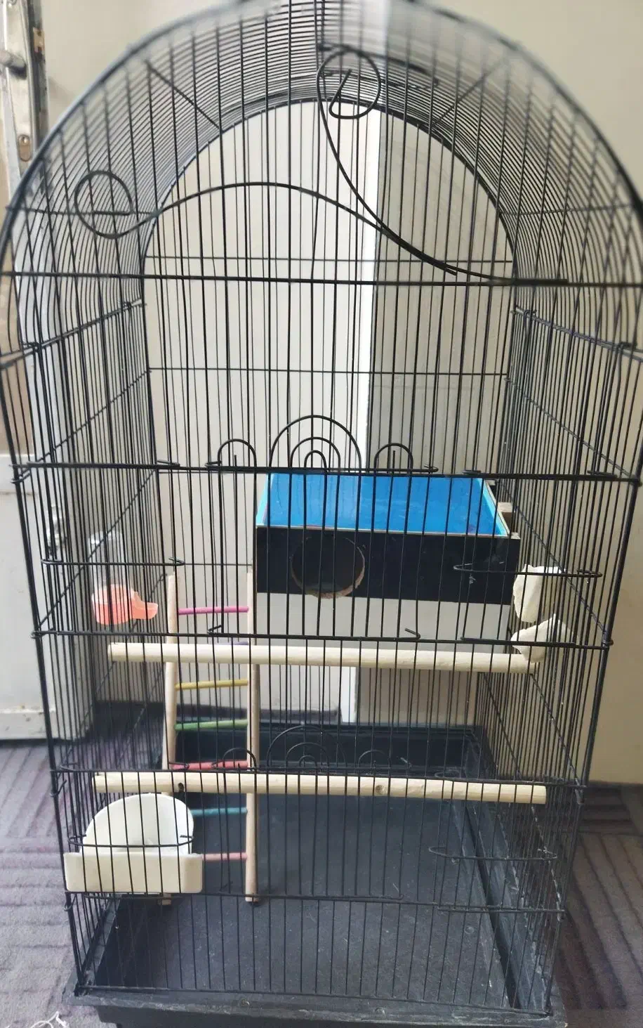 قفس طوطی . عروس .|لوازم جانبی حیوانات|مشهد, عبادی|دیوار
