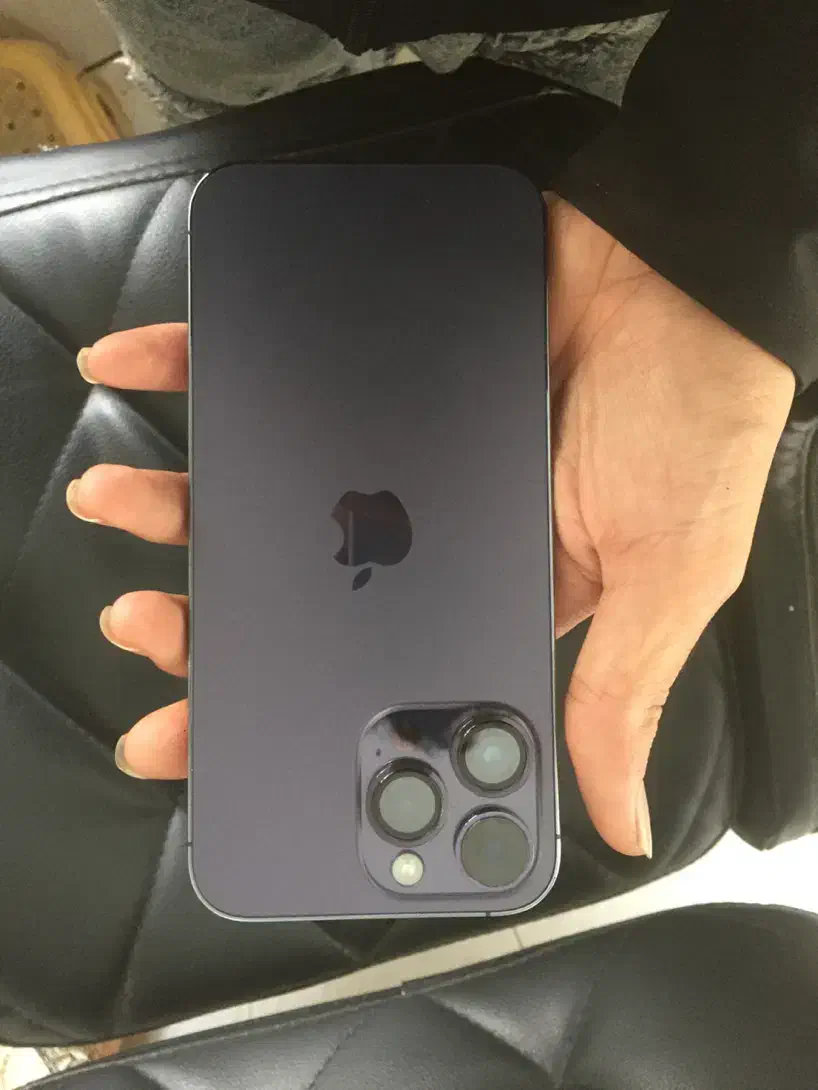 آیفون 14 پرو مکس|موبایل|بابل, |دیوار