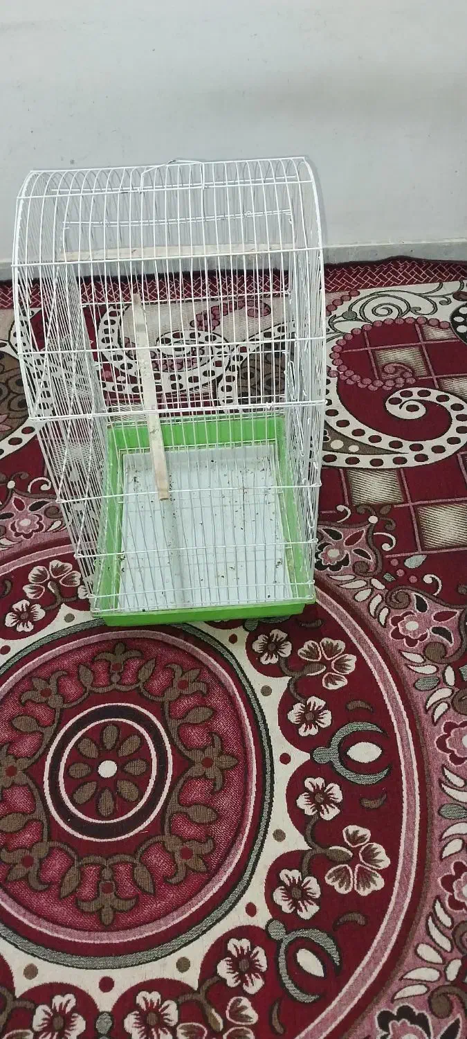 قفس|لوازم جانبی حیوانات|اهواز, کوی صادقیه|دیوار