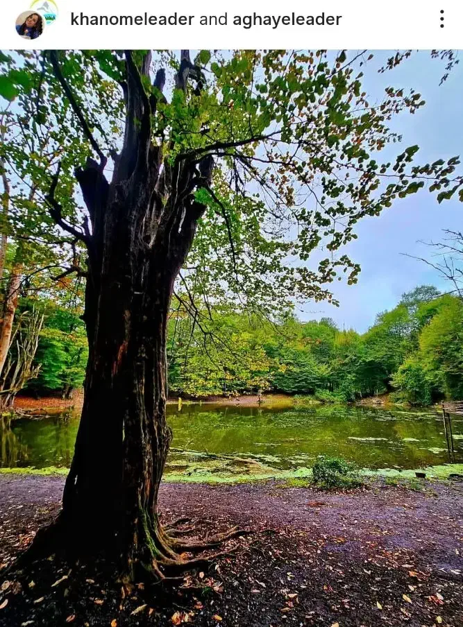 تور مرداب وربن تا هسل|تور و چارتر|تهران, آرژانتین|دیوار