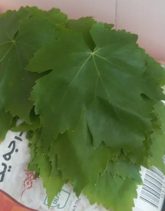 برگ دلمه|خوردنی و آشامیدنی|شیروان (خراسان), |دیوار