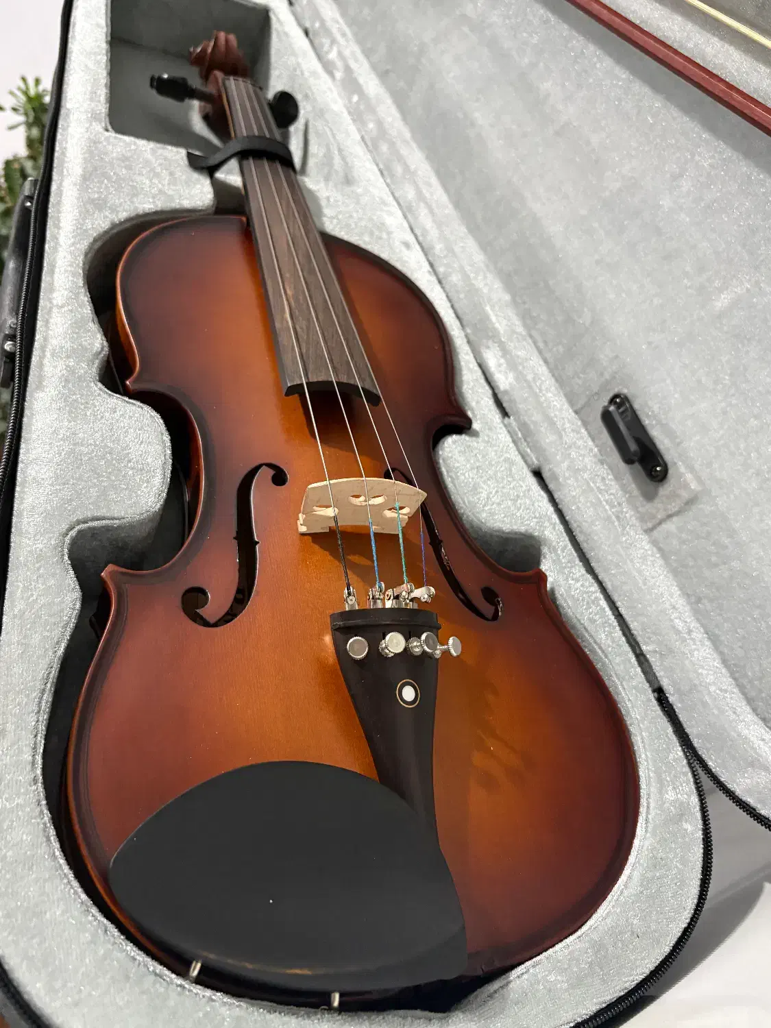 ویولن پیرلی|ویولن|کرمانشاه, |دیوار