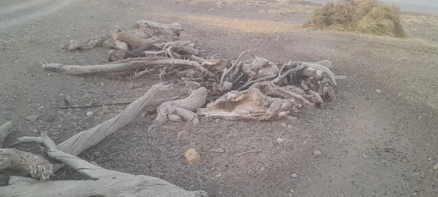 چوب|حراج|خوسف, |دیوار