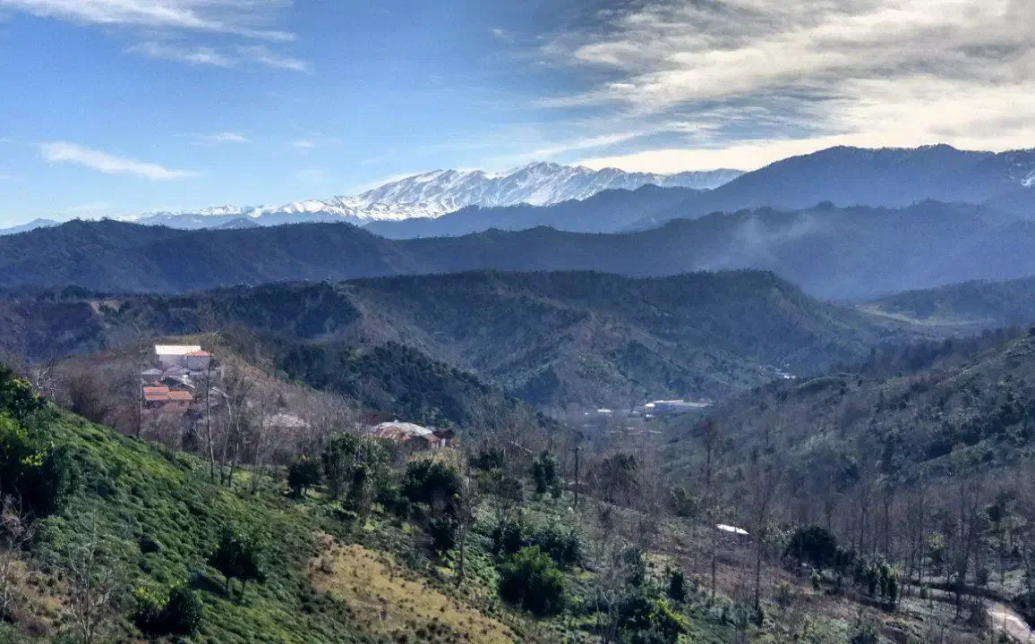 فروش 1000 متر زمین در روستای اربولنگه اطاقور|فروش زمین و ملک کلنگی|اطاقور, |دیوار