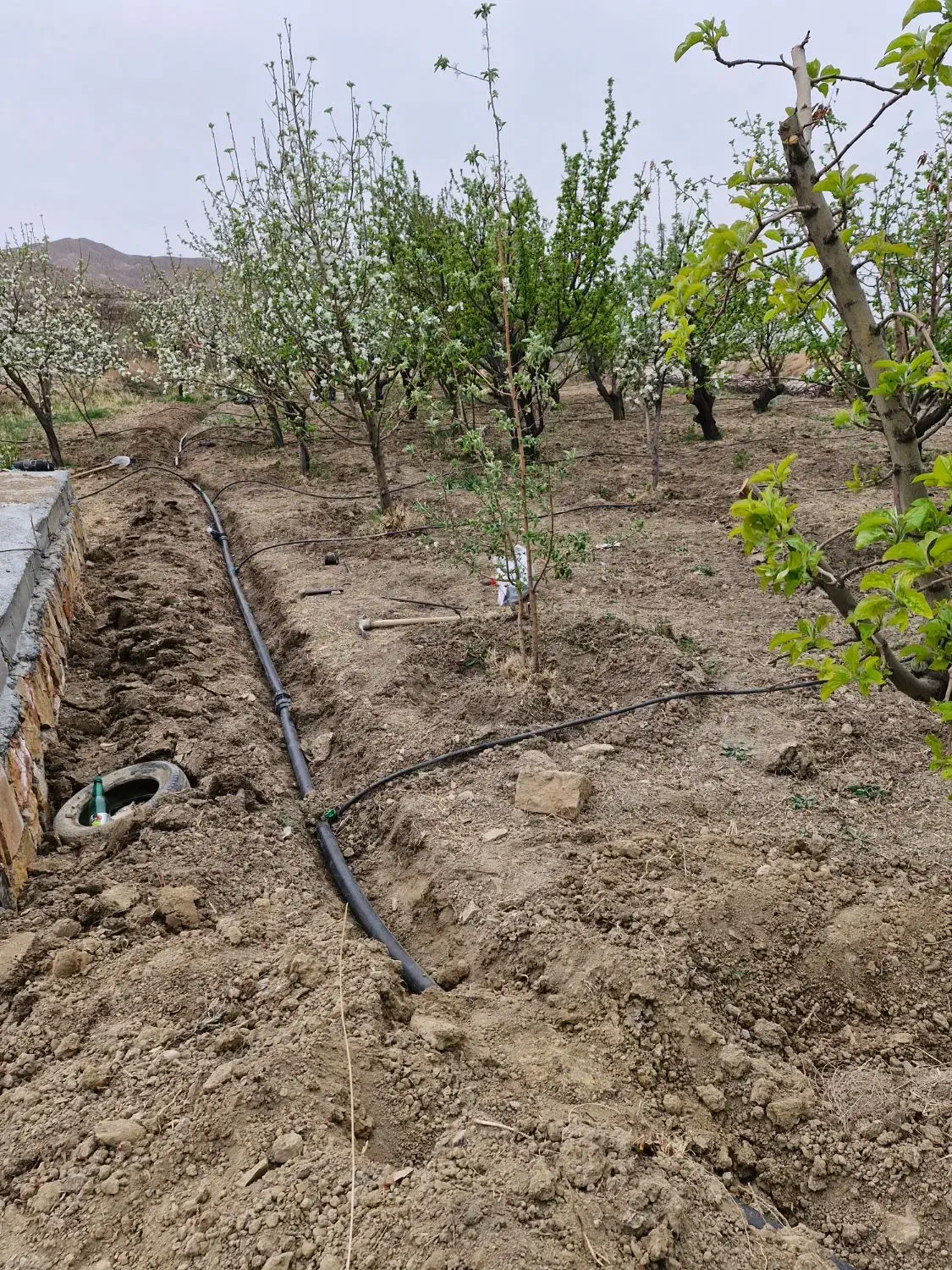 باغ استخر دار و لوله کشی شده|فروش دفتر صنعتی، کشاورزی، تجاری|اسفراین, |دیوار