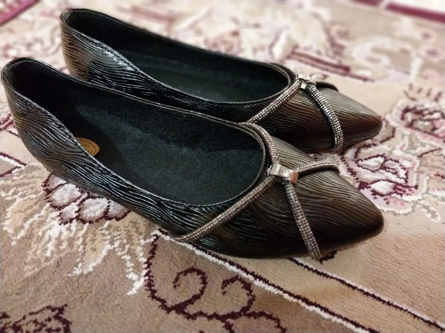 کفش نو|کیف، کفش، کمربند|زابل, |دیوار