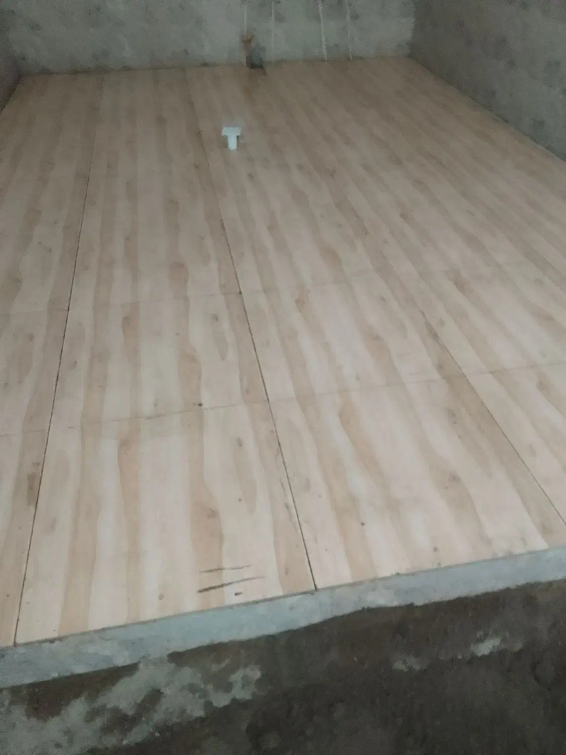 کاشیکار|خدمات پیشه و مهارت|زابل, |دیوار