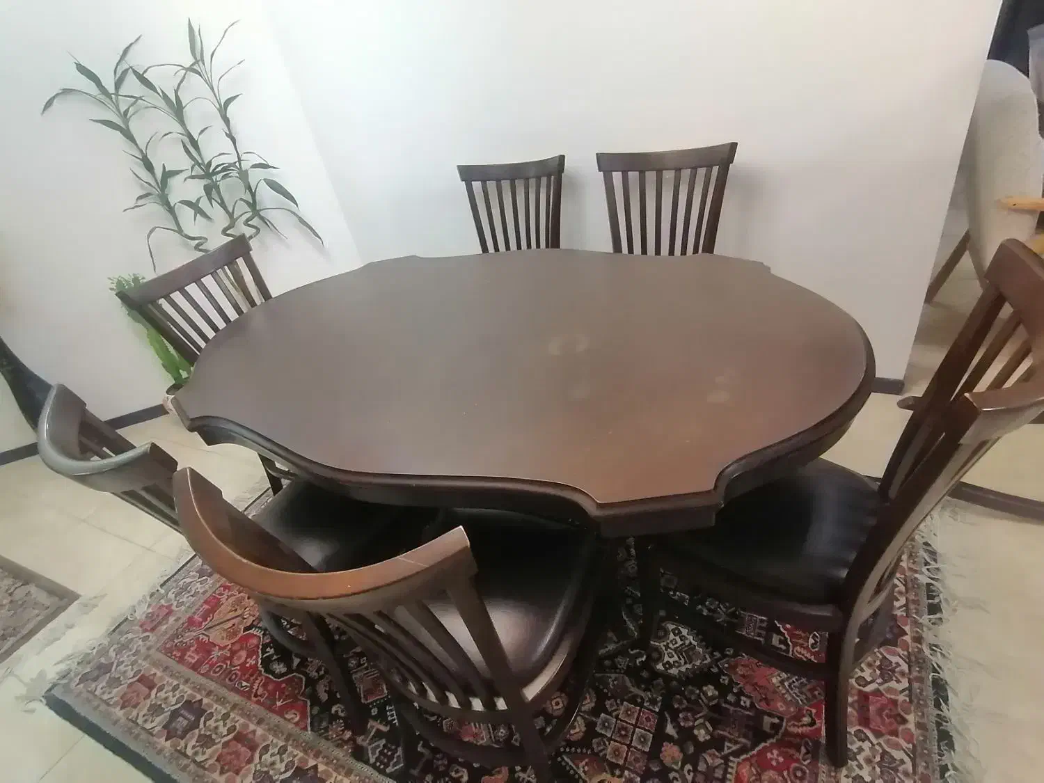 میز 6 نفره|میز و صندلی غذاخوری|شیراز, فرهنگ شهر|دیوار