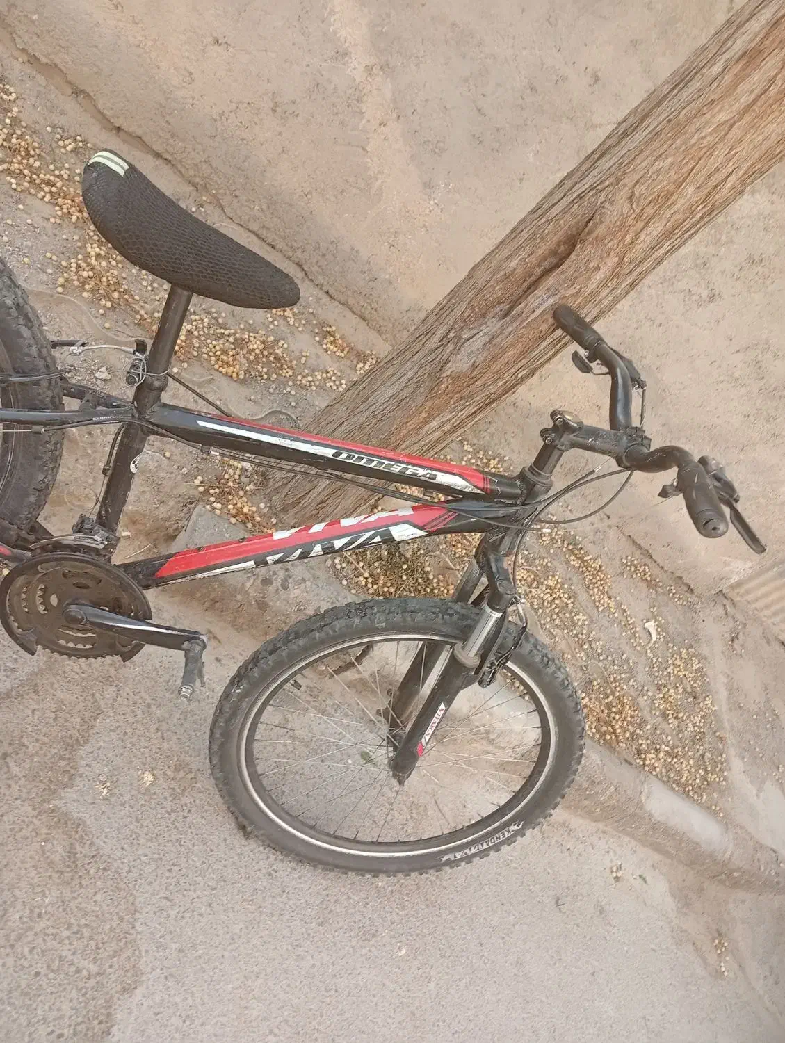 دوچرخه ویوا|دوچرخه، اسکیت، اسکوتر|گناباد, |دیوار