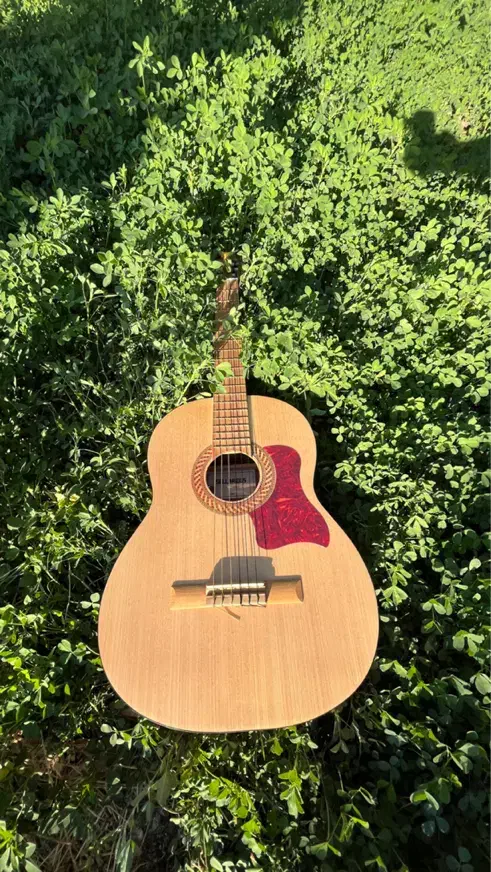 گیتار بسیار خوش صدا|گیتار، بیس، امپلیفایر|زنجان, |دیوار