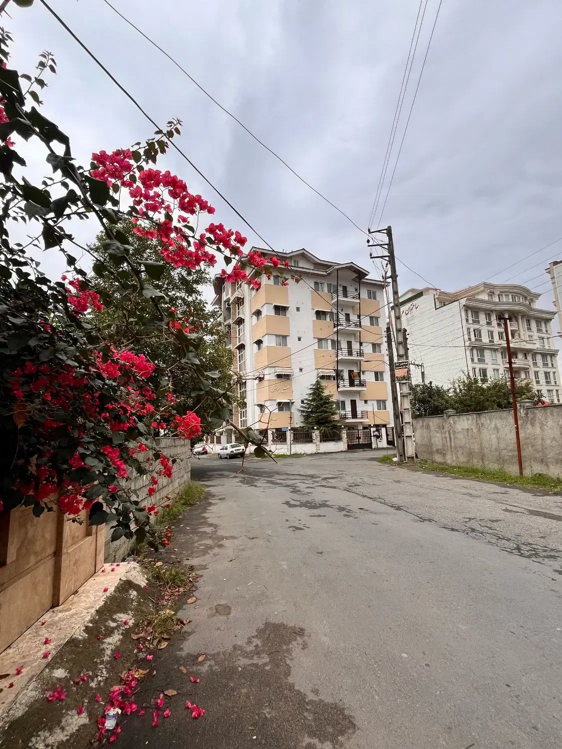 مشارکت در ساخت ۴۰۰ متر آپارتمانی طالقانی رامسر|مشارکت در ساخت املاک|رامسر, |دیوار