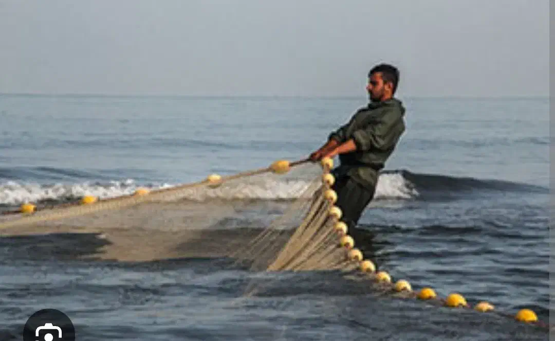 صید وصیادی ماهی واسه یلدا از استخر گلبهار و چناران|ماهی|چناران, |دیوار
