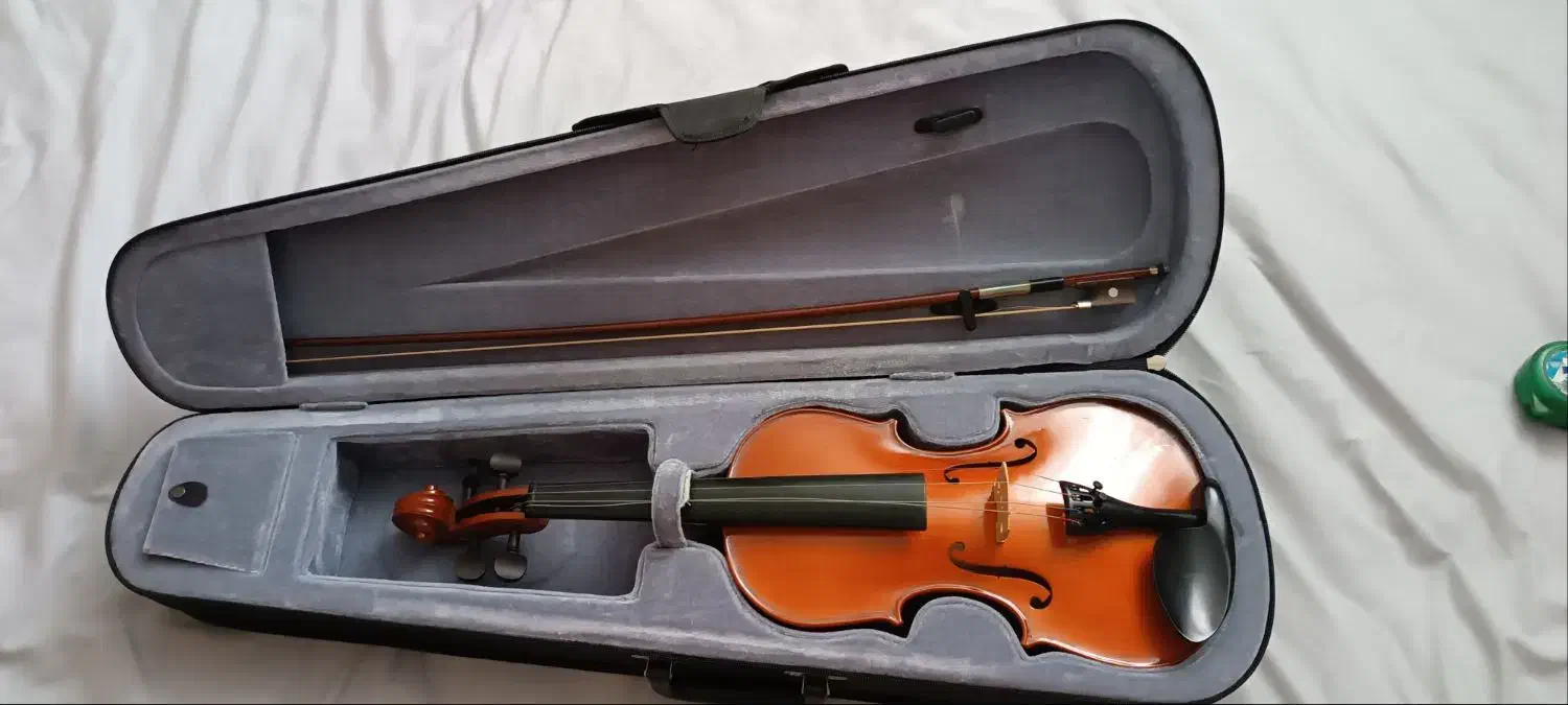 ویولن TF|ویولن|زنجان, |دیوار