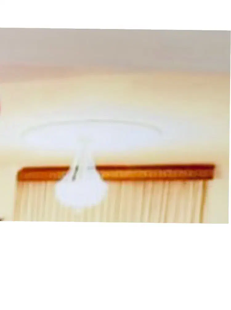 دو تخته آرک چوبی پرده|پرده، رانر، رومیزی|نوشهر, |دیوار