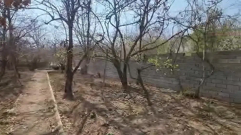 باغچه میوه معاوضه با آپارتمان|فروش زمین و ملک کلنگی|تهران, بهاران|دیوار