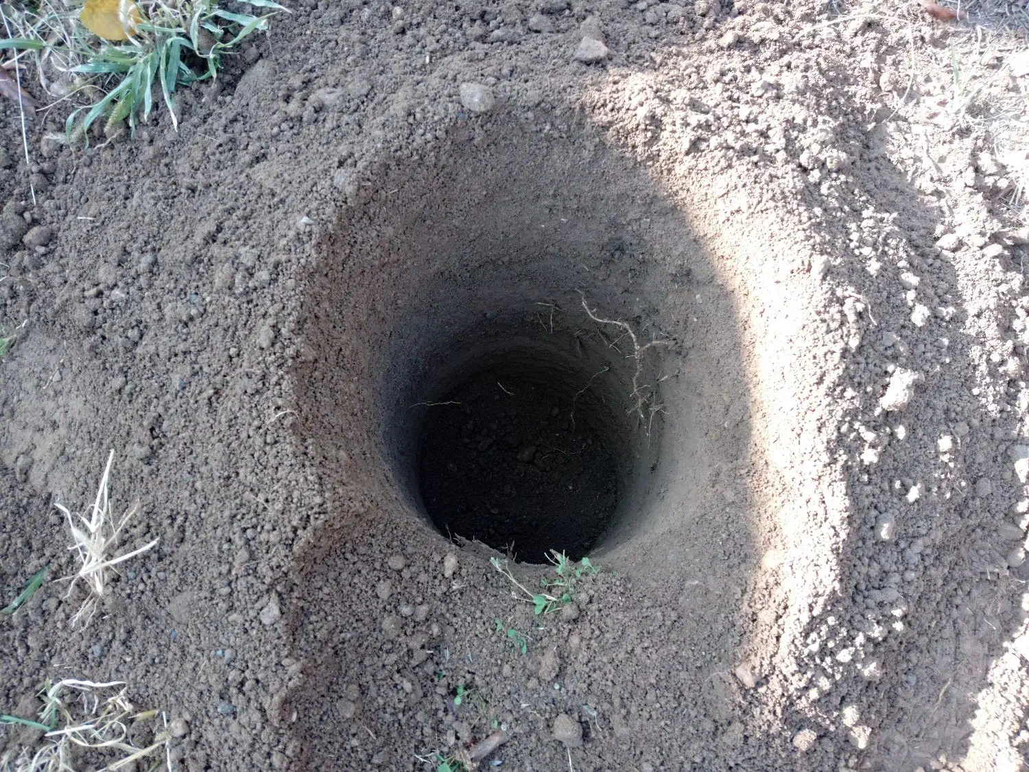 شخم زن ،چاله کنی ، علف زن و چوب بری و هرس درختان|خدمات باغبانی و درختکاری|شبستر, |دیوار