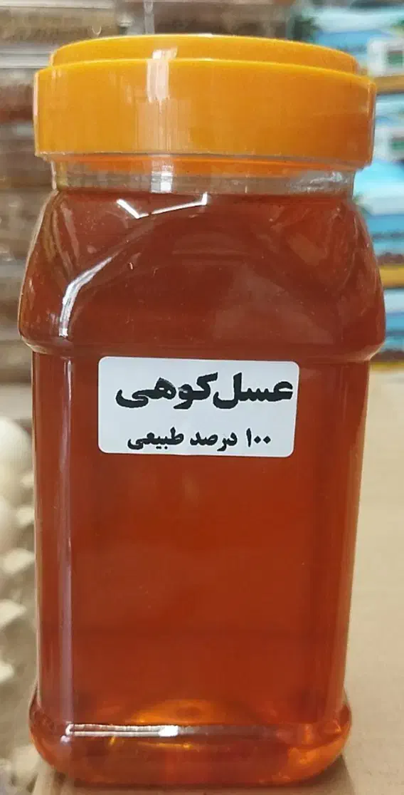 اصل|حراج|تهران, افسریه جنوبی|دیوار